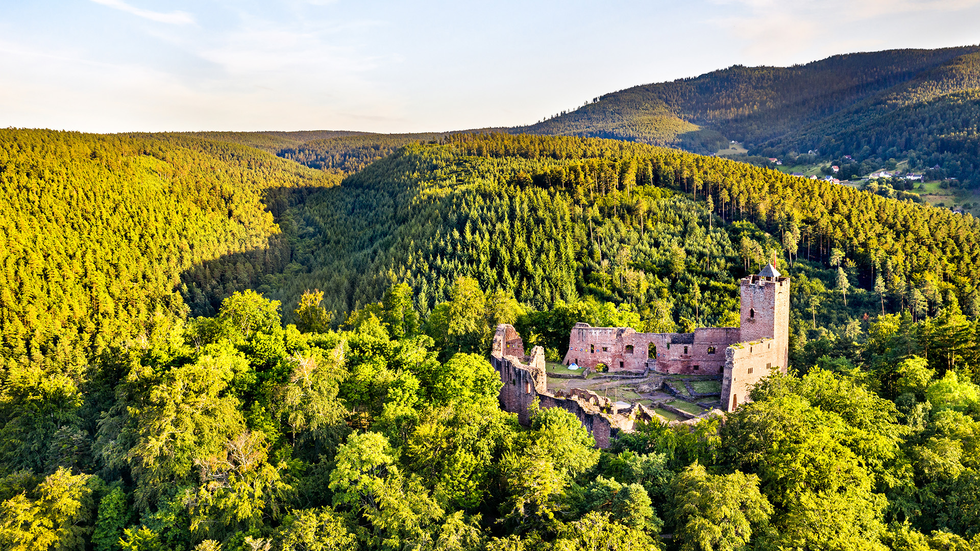 Château du Wangenbourg